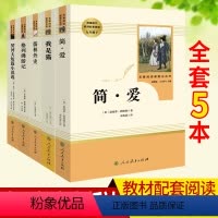 九下/简爱+我是猫+儒林外史+格列佛游记+契诃夫短篇小说选 [正版]骆驼祥子和海底两万里人教版西游记朝花夕拾傅雷家书钢铁