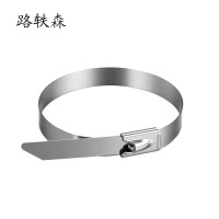 路轶森 304不锈钢扎带 19*1600mm 条