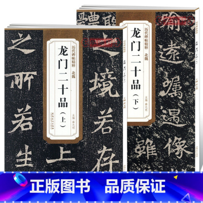 北魏龙门二十品 上下 [正版]共2本北魏龙门二十品上下简体旁注历代碑帖楷书毛笔字帖薛元明古帖学生成人练字临帖临摹书法技法