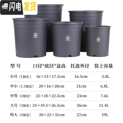 三维工匠加仑盆二代加厚塑料树脂多肉绿萝家用阳台种花月季盆栽控根大花盆 [10个装]灰色(单花盆)[实得11个] 花盆容器