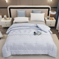 唐纳家纺 阳离子爽肤被-格调 200*230cm/2000g- TN-SAQ22020
