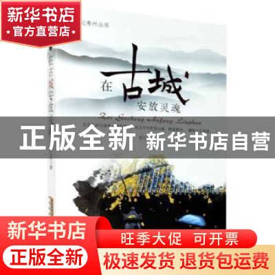 正版 在古城安放灵魂 楚仁君 安徽文艺出版社 9787539670966 书籍