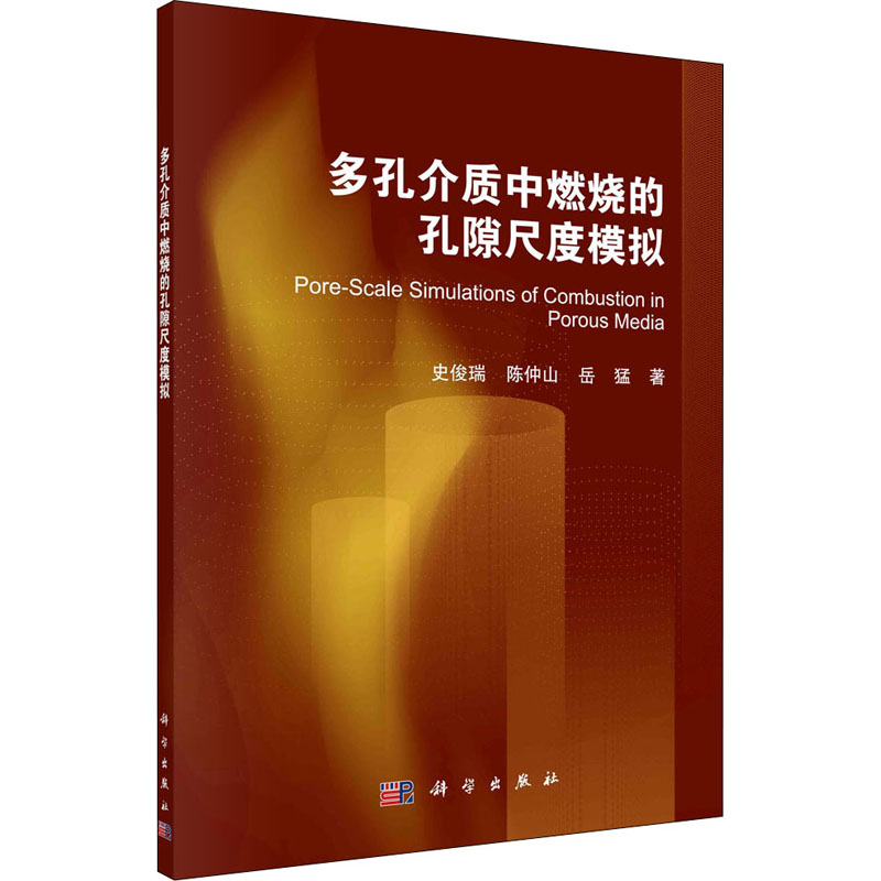 音像多孔介质中燃烧的孔隙尺度模拟史俊瑞,陈仲山,岳猛