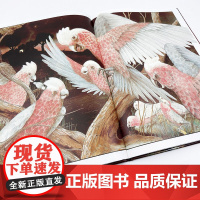 我的奶奶住在古里古怪镇(精)百班千人 葛瑞米·贝斯幻想大师系列(2022年百班千人寒假书单)