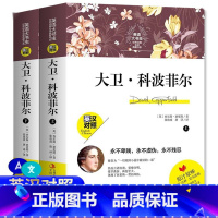 [正版]英语大书虫大卫科波菲尔英汉对照英文版原版双语版中英双语对照中英文双语名著中文版英文版高中生书虫六年级