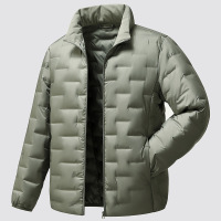 秋冬新款轻薄羽绒服防风立领保暖羽绒男90绒户外休闲通勤羽绒外套