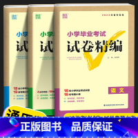 语文+数学+英语 小学六年级 [正版]2023新版 通城学典小学毕业考试试卷精编小升初系统总复习 语文数学英语真题模拟试
