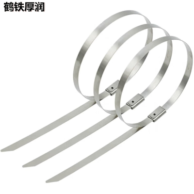 鹤铁厚润 自锁式不锈钢扎带 10×1000mm 根