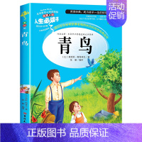 青鸟(选3本26元) [正版]绿山墙的安妮全集彩图版四五年级课外阅读书籍三年级六年级非老师必读的经典书目青少年读物儿童文