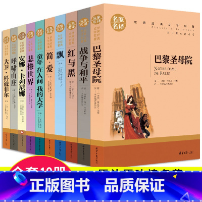 [正版]世界十大名著全套10册 简爱书籍原著文学名家外国 巴黎圣母院 图书课外书 红与黑书原版 高中经典小说书 安