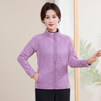 中老年妈妈装冬装加绒加厚立领棉衣时尚保暖防风外套洋气大码棉服