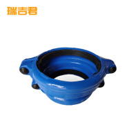 瑞吉君 哈夫节大小头 DN250 个