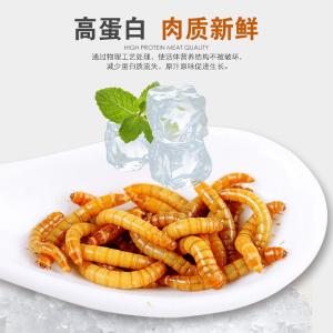 龙鱼饲料金龙红龙银龙大麦虫血鹦鹉鱼食罗汉热带鱼饲料面包虫