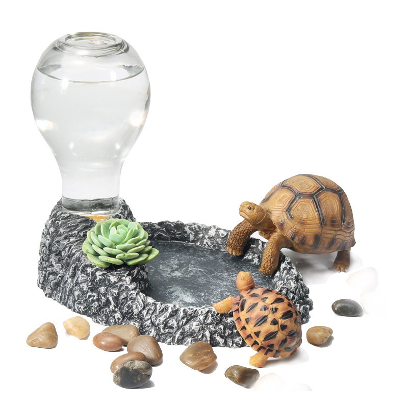 陆龟水盆泡澡喝水乌龟喂食盆爬虫缘爬宠喂水蜥蜴用品