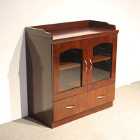 西泰油漆茶水柜两门茶水柜办公室储物柜DC-0804