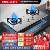 万家乐AY4G不锈钢燃气灶天然气液化气煤气灶双灶厨房家用嵌入式