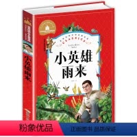 小英雄雨来 [正版]兔子坡注音版三年级书籍一年级二年级阅读课外书必读经典书目小学生1-2-3年级带拼音书籍老师推 荐儿童