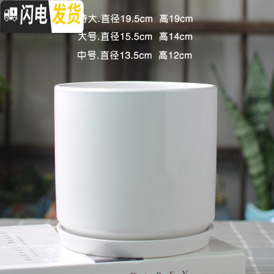 三维工匠白色简约花盆陶瓷大号特大号带托盘吊兰绿萝多肉花盆 直亮光白 中等花盆容器