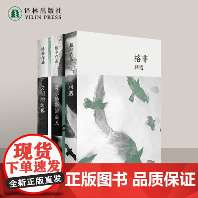 格非精选集套装3本 相遇+博尔赫斯的面孔+文明的边界 全新豆瓣高分长篇现代小说散文文学评论 译林正版