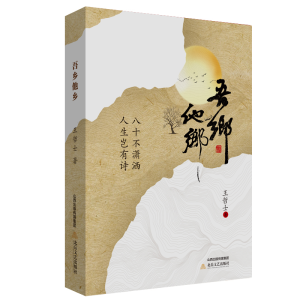 正版新书]吾乡他乡王哲士9787537869591