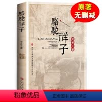 [正版]骆驼祥子原着老舍全集附带习题注解注释国一下册初中生小学生课外阅读书籍初一ys