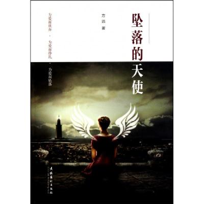正版新书]坠落的天使方远9787503941856