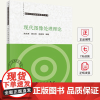 现代图像处理理论 利用张量表示方法深度学习方法解决多高光谱遥感数据视频数据偏振时序图像数据处理问题97870308169