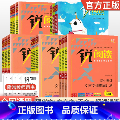 [3本套装]现代文阅读+文言文阅读+5合1 九年级/初中三年级 [正版]锐阅读初中语文阅读训练五合一七八九年级语文5合1