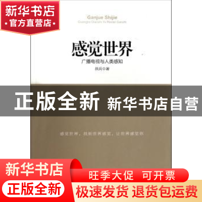正版 感觉世界:广播电视与人类感知 洪兵著 中国社会科学出版社 9