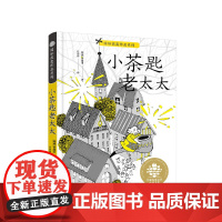 小茶匙老太太 普廖申 全球儿童文学典藏书系国际获奖作品系列 学校阅读儿童文学书籍 湖南少年儿童出版社小茶匙的老太太