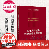 夫妻共同债务纠纷案件裁判规则 杨奕 法律出版社
