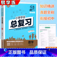 数学 小学升初中 [正版]易学练 2023小学毕业总复习数学考点知识真题训练小升初六年级数学系统总复习毕业冲刺重点中学招