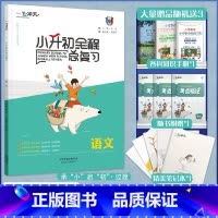 [正版]一飞冲天小升初语文全程暑假衔接总复习小学升初中六年级毕业升学考试真题模拟预测试卷语文古诗词文言文暑假作业阅读理