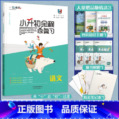 [正版]一飞冲天小升初语文全程暑假衔接总复习小学升初中六年级毕业升学考试真题模拟预测试卷语文古诗词文言文暑假作业阅读理