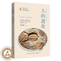 [醉染正版]2019新书 给孩子的博物文化课 人的进化 考古学教授博士生导师后晓荣博物馆研究员倾力人类进化历史进程博物文