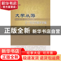 正版 大学从游:王一川文学批评讲稿 王一川著 北京师范大学出版社