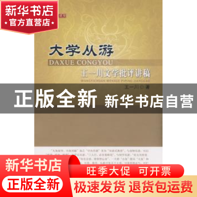 正版 大学从游:王一川文学批评讲稿 王一川著 北京师范大学出版社