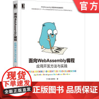 正版面向WebAssembly编程 应用开发方法与实践 丁尔男 柴树杉 前端开发 程序设计 网络编程语言开发 应用