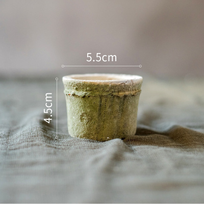 家柏饰(CORATED)自然生长青苔红陶花盆经典素朴日式风格种植器皿杂货花园 M 大