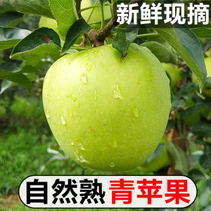 [西沛生鲜]云南新鲜青苹果 净重3斤 中果 单果65-70mm 脆甜可口