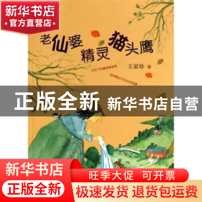 正版 老仙婆 精灵 猫头鹰 王家珍著 少年儿童出版社 978753249459