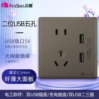 飞雕(FEIDIAO)超薄大板 开关插座格韵系列86型带开关插座面板墙壁电源插座 格韵荧光灰五孔带2USB