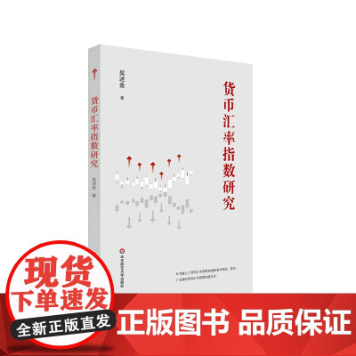 货币汇率指数研究 吴述金 正版 华东师范大学出版社