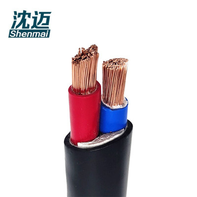 沈迈 铜芯软电缆 ZR-YJVR-0.6/1KV-2*6mm² /米