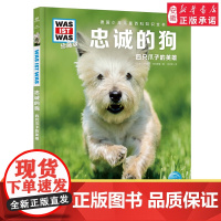 忠诚的狗 德国少年儿童百科知识全书什么是什么珍藏版 精装儿童科普百科全书自然科学历史7岁+中小学生儿童课外阅读书