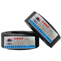 三恒 多芯软线ZC-RVV 2×6mm² 米
