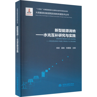 正版新书]新型能源消纳——水光互补研究与实践肖斌 奚瑜 张国