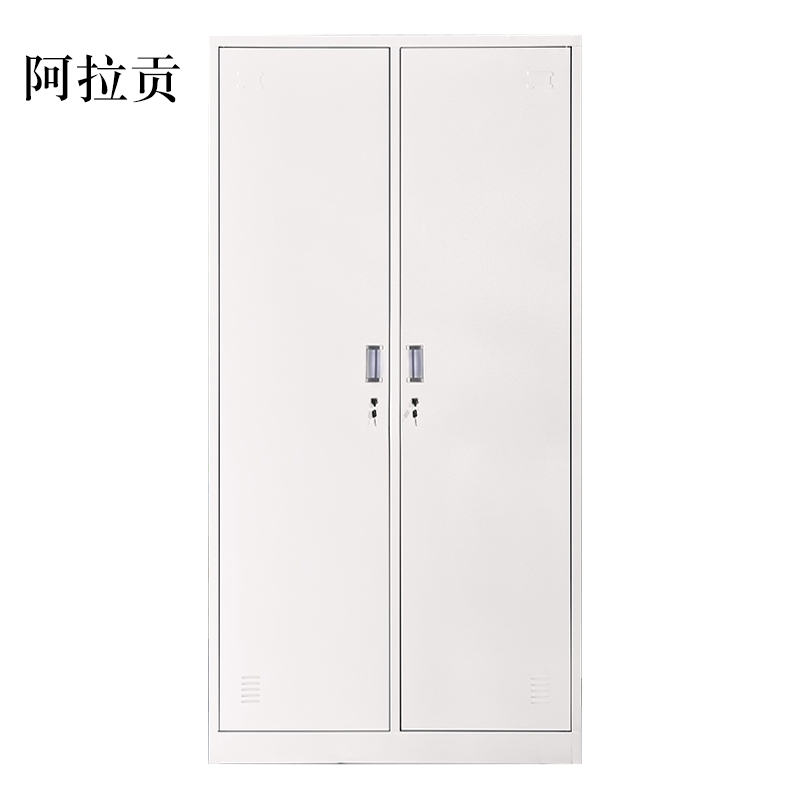 湘渭加厚二门钢制更衣柜员工柜铁皮职工储物柜带锁存包柜鞋柜