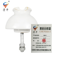 澄开 绝缘子 P 20T/个