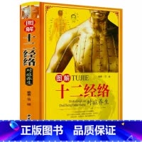 [正版]图解十二经络对症养生(精装)全彩图解人体全身12经络穴位传统疗法养生大全书籍新手学中医经脉入门零基础理论知识